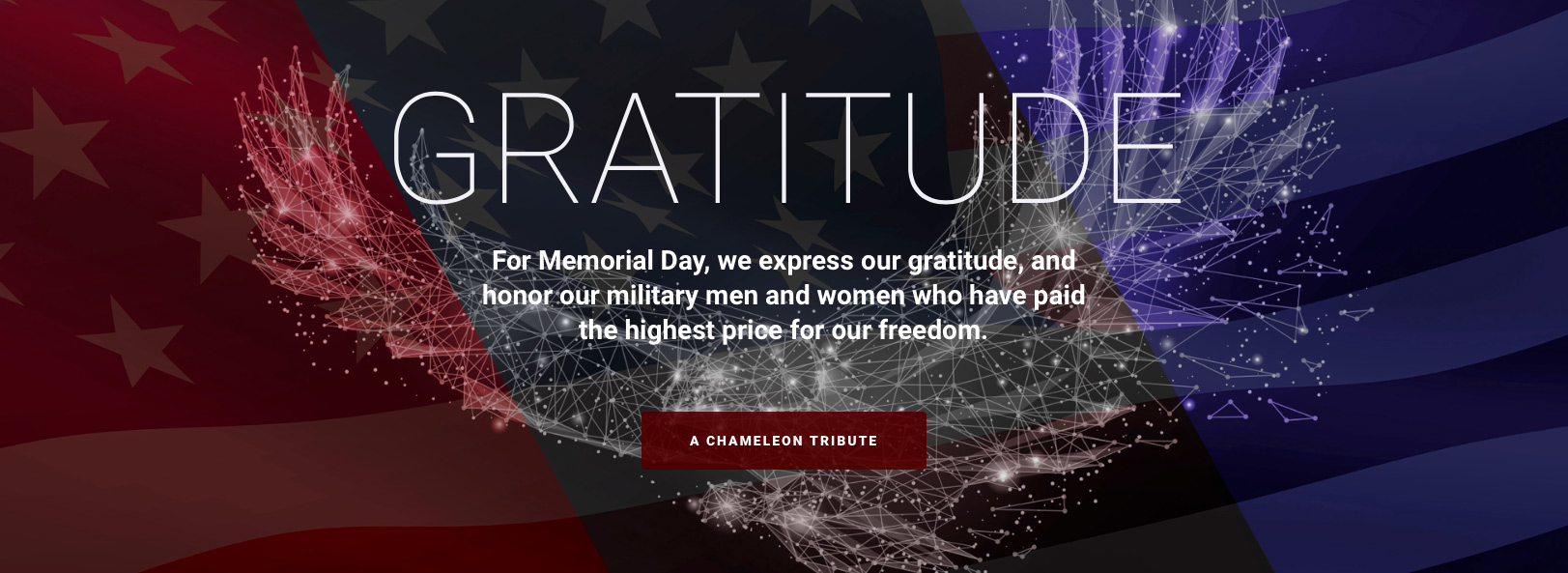 chameleon-home-page-memorial-day-2018-02